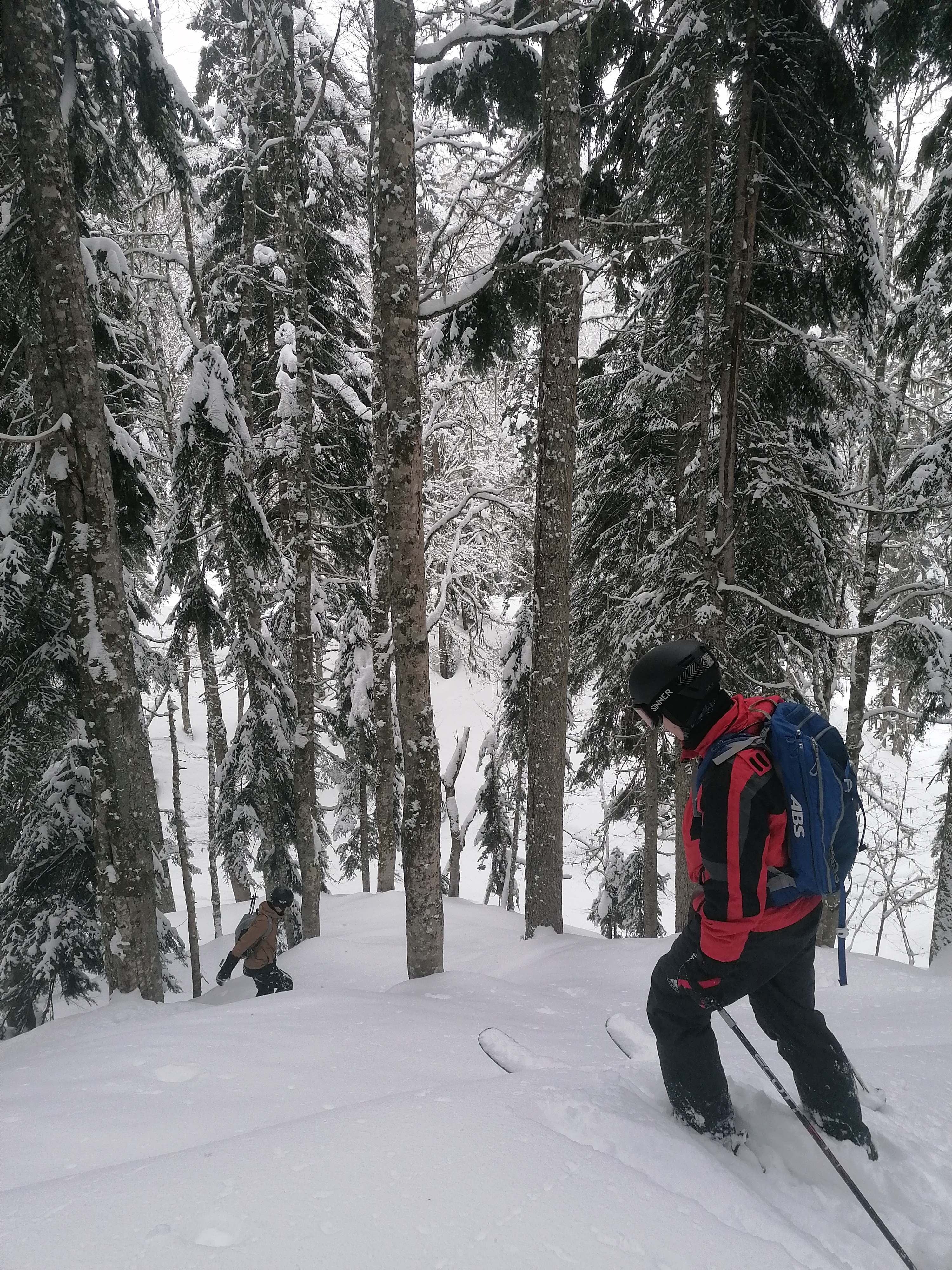 фрирайд уровень Прогресс