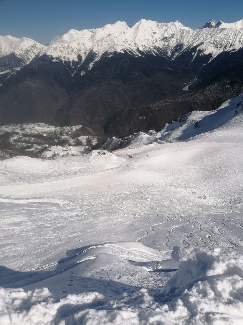 Отзыв Алексей